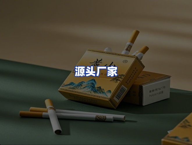 专业团队